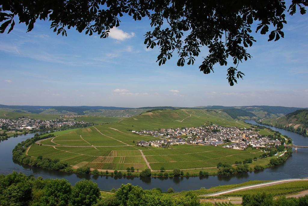 Gaestehaus & Weingut Cluesserath-Weiler Trittenheim Exterior foto
